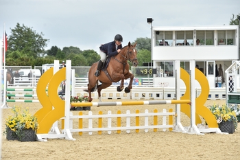 Yvonne Goss and Untilla Legend win the Retraining of Racehorses Club League 90cm Championship title